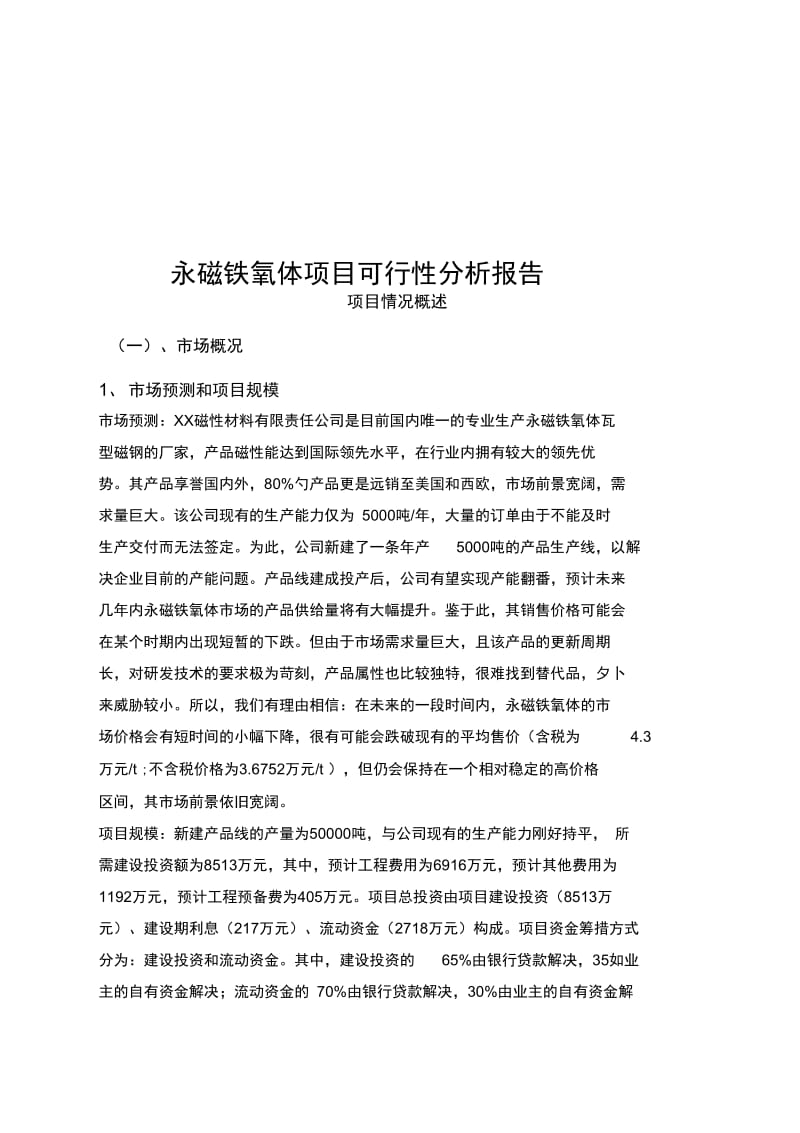 永磁铁氧体项目可行性分析报告.docx_第1页