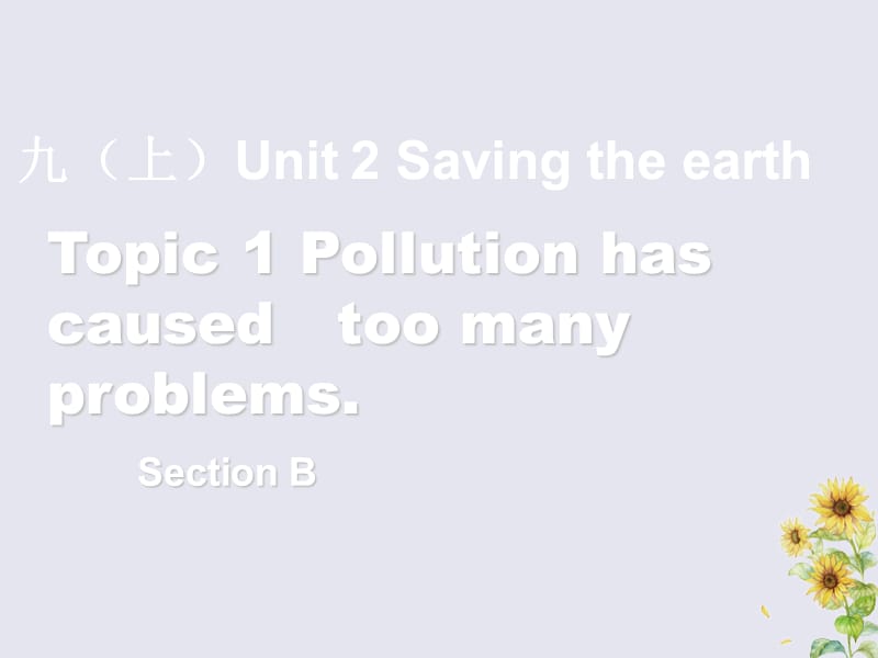 九年级英语上册 Unit 2 Saving the earth Topic 1 Pollution has causes too many problems Section B课件 （新版）仁爱版.ppt_第1页