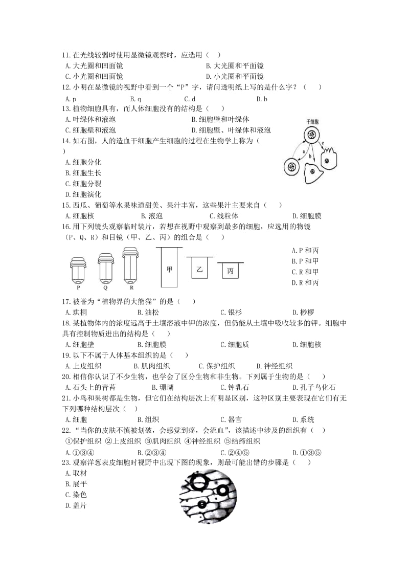 七年级第一学期期末教学质量检测.doc_第2页