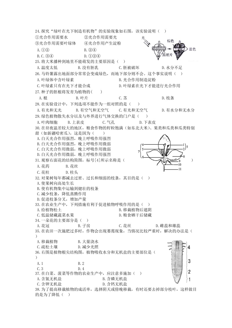 七年级第一学期期末教学质量检测.doc_第3页