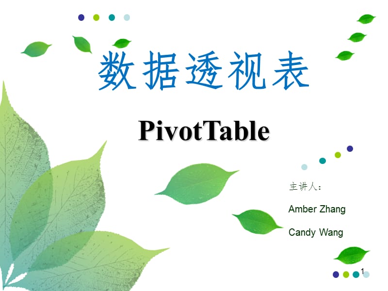 数据透视表-初稿PPT课件.ppt_第1页