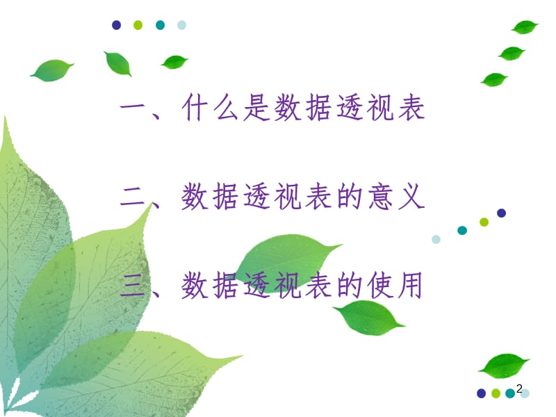 数据透视表-初稿PPT课件.ppt_第2页