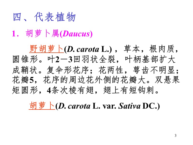 植物学伞形科PPT课件.ppt_第3页