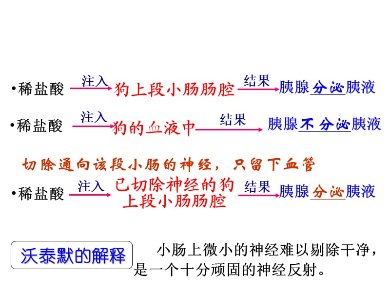 《通过激素的调有用》PPT课件.ppt_第3页