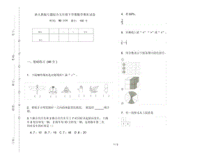 新人教版专题综合五年级下学期数学期末试卷.docx