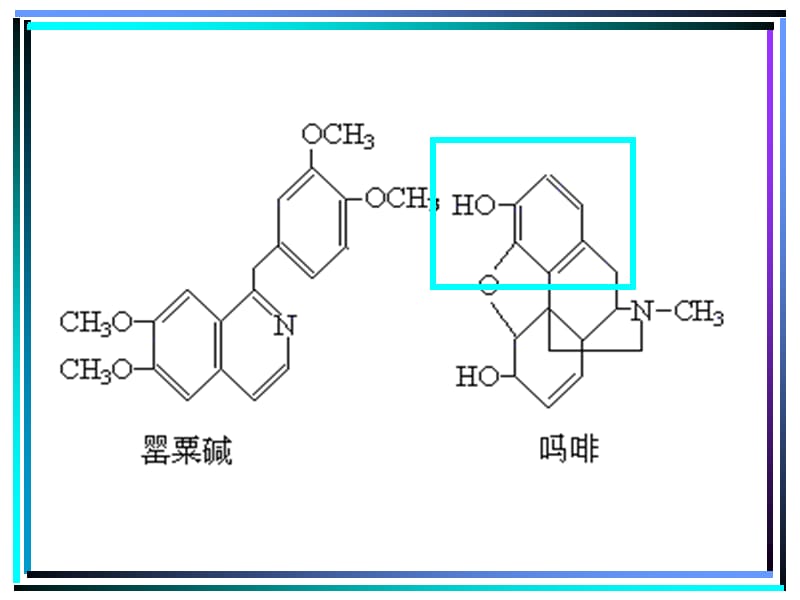 酚的性质和应用PPT演示课件.ppt_第3页