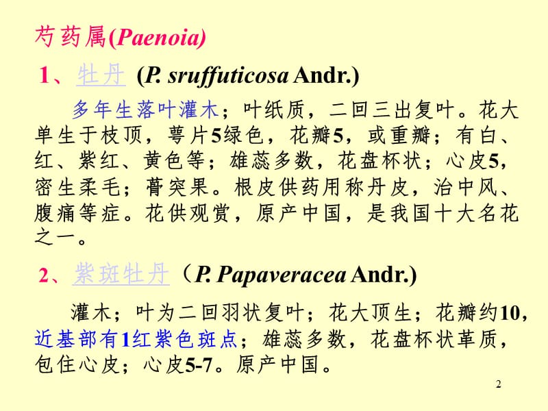 植物学芍药科PPT演示课件.ppt_第2页