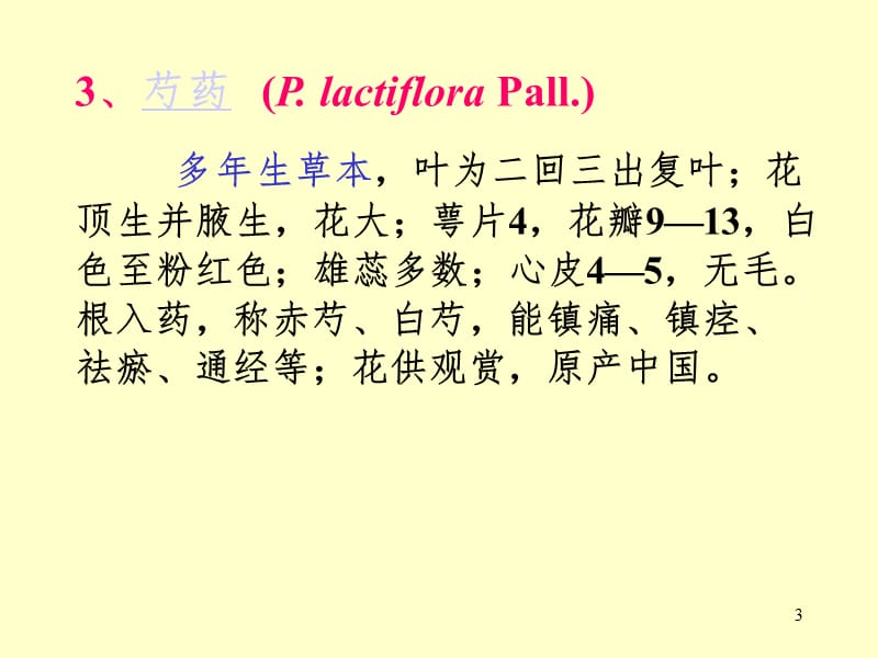 植物学芍药科PPT演示课件.ppt_第3页