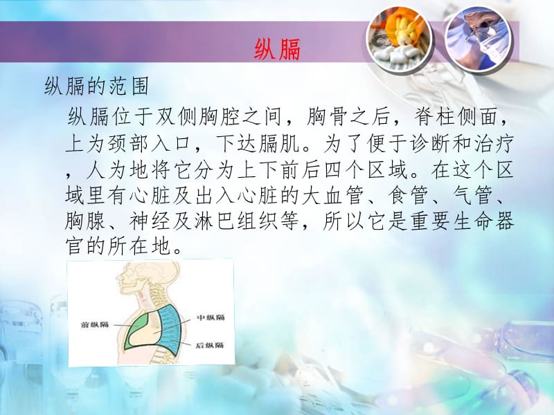 纵膈肿瘤的护理PPT课件.ppt_第3页