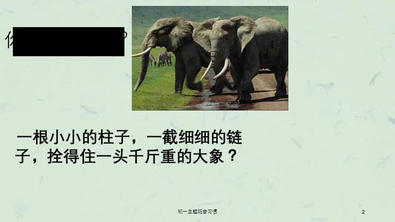 初一主题班会习惯.ppt_第2页