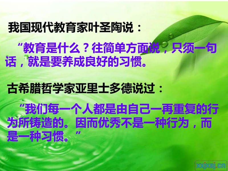 主题班会-净我校园课件.ppt_第2页