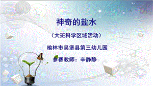 大班科学《神奇的盐水》微课件.pptx