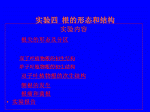 实验四 根的形态和结构.ppt