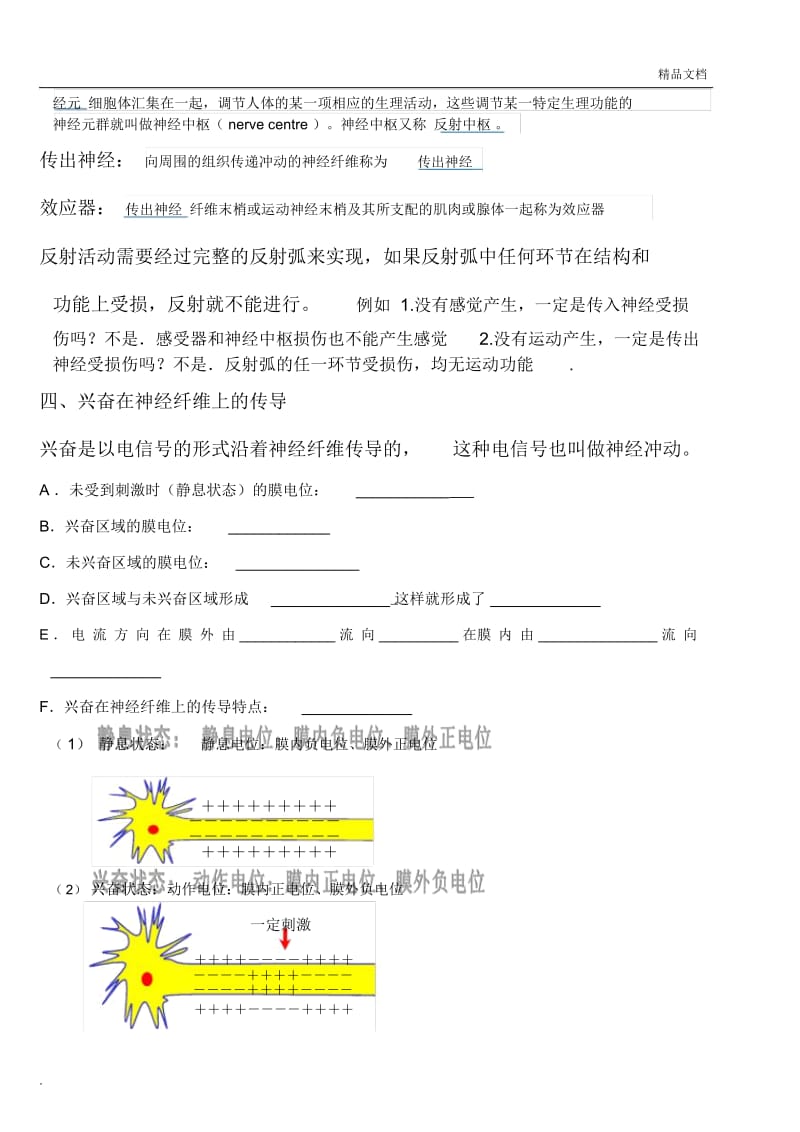 通过神经系统的调节复习知识点.docx_第2页