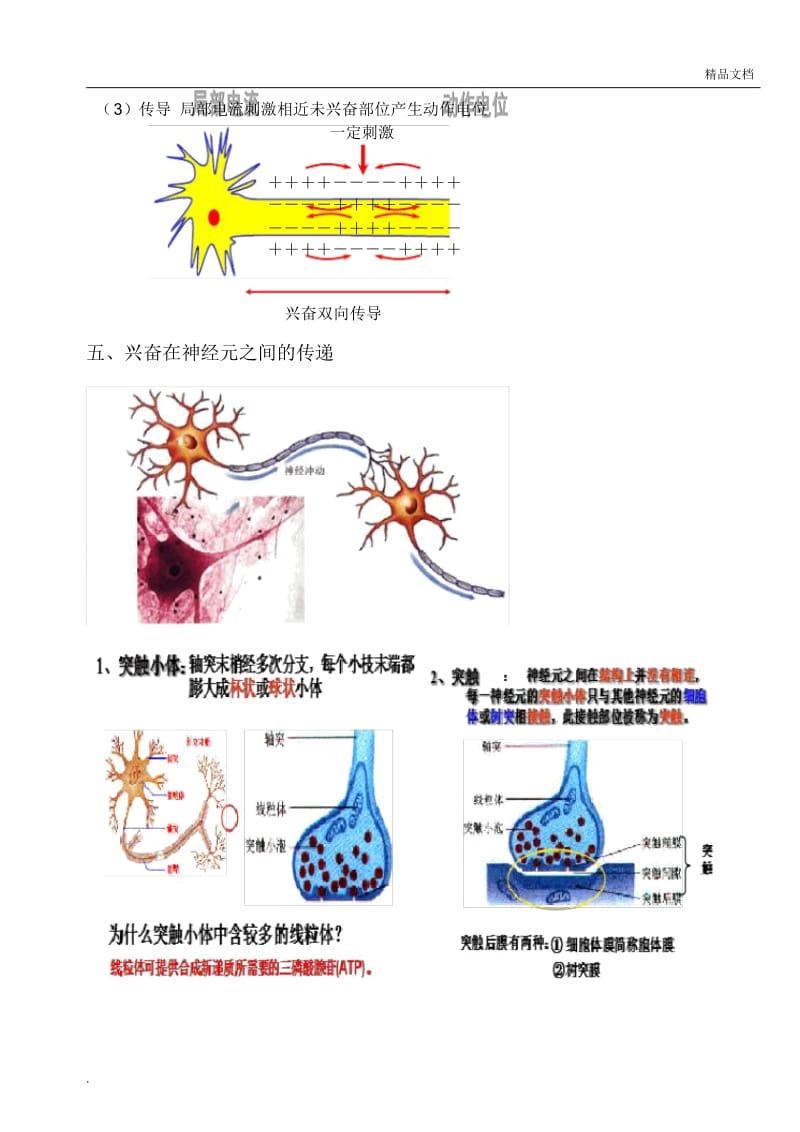 通过神经系统的调节复习知识点.docx_第3页