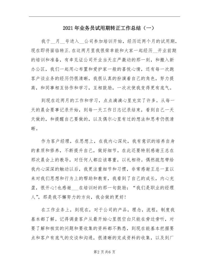 2021年业务员试用期转正工作总结（一）.doc_第2页