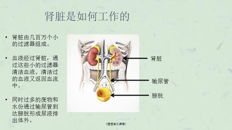 《腹透培训课程》课件.ppt_第3页