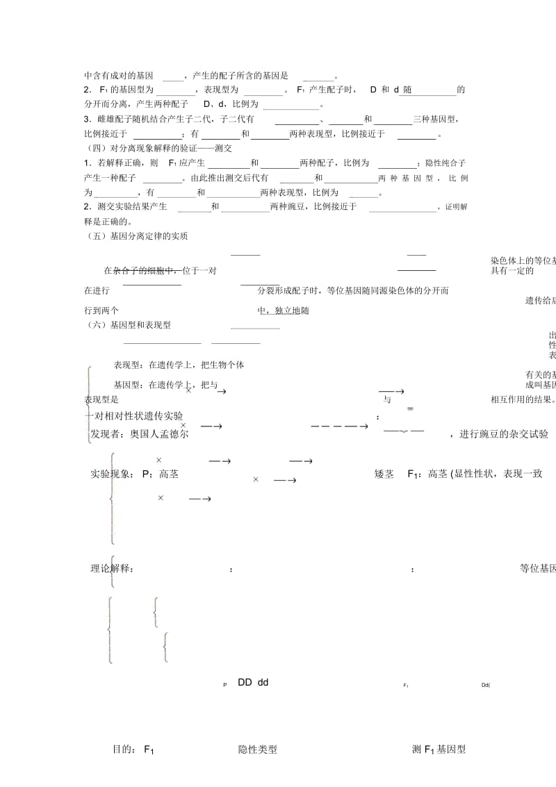 高中生物《基因的分离定律》学案3苏教版必修.docx_第2页