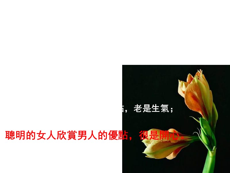 《女人愚笨与聪明》PPT课件.ppt_第3页