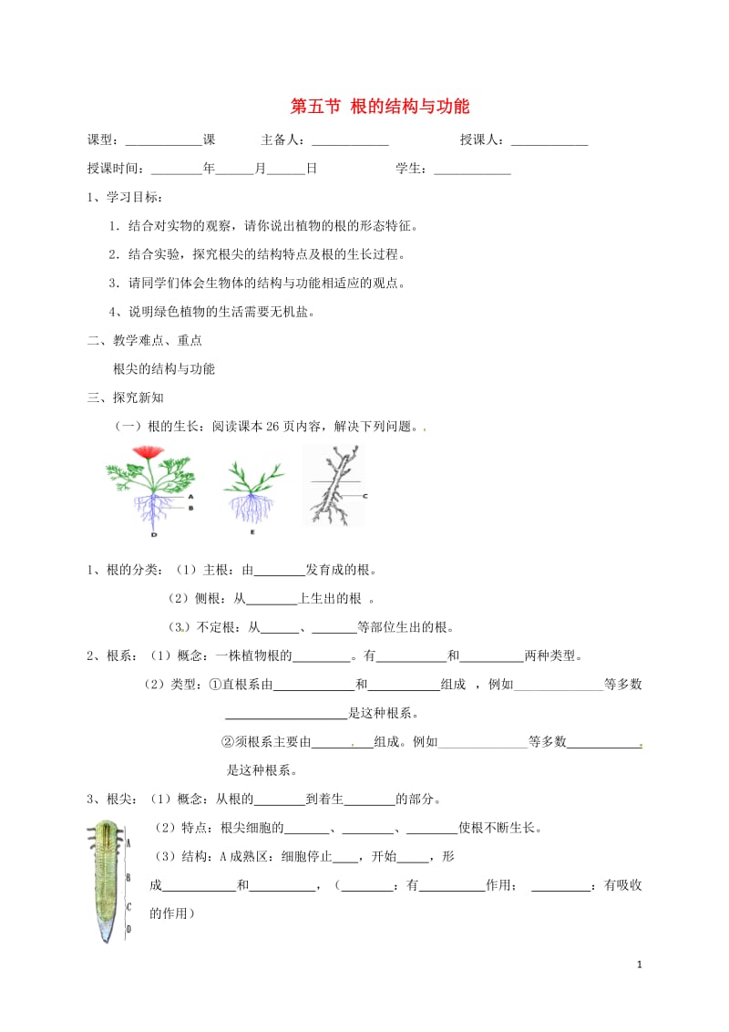 八年级生物上册 第四单元 物种的延续 第1章 绿色开花植物的一生 第5节 根的结构和功能学案（新版）济南版.doc_第1页