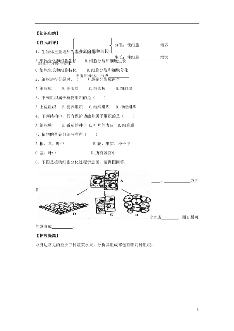 七年级生物上册 1.2.2《细胞的分裂与分化》导学案1（无答案）（新版）济南版.doc_第2页