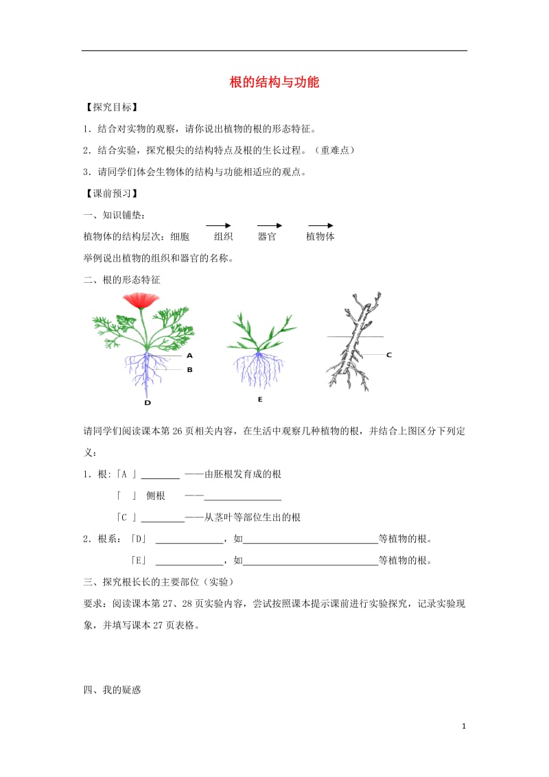 八年级生物上册 4.1.5《根的结构与功能》导学案1（无答案）（新版）济南版.doc_第1页