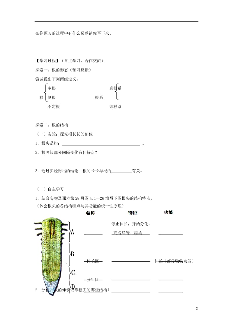 八年级生物上册 4.1.5《根的结构与功能》导学案1（无答案）（新版）济南版.doc_第2页