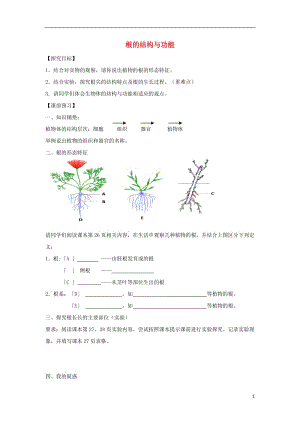 八年级生物上册 4.1.5《根的结构与功能》导学案1（无答案）（新版）济南版.doc