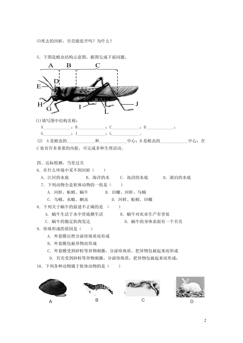 八年级生物上册 第五单元 第一章 第三节软体动物和节肢动物学案（无答案）（新版）新人教版.doc_第2页