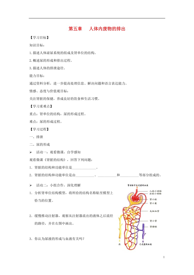 七年级生物下册 4.5《人体内废物的排出》导学案（无答案）（新版）新人教版.doc_第1页