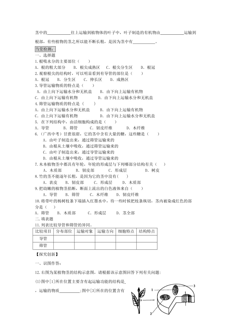 七年级生物上册 3.3.2水分进入植物体内的途径导学案（无答案）（新版）新人教版.doc_第2页