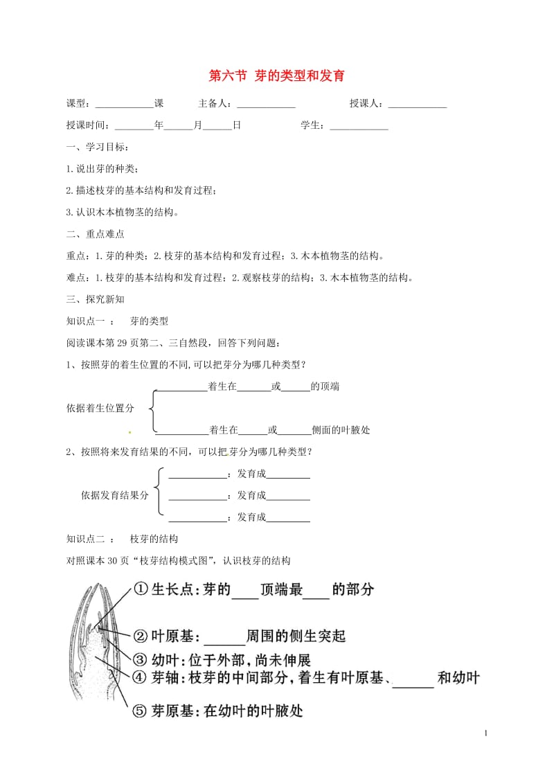 八年级生物上册 第四单元 物种的延续 第1章 绿色开花植物的一生 第6节 芽的类型和发育学案（新版）济南版.doc_第1页