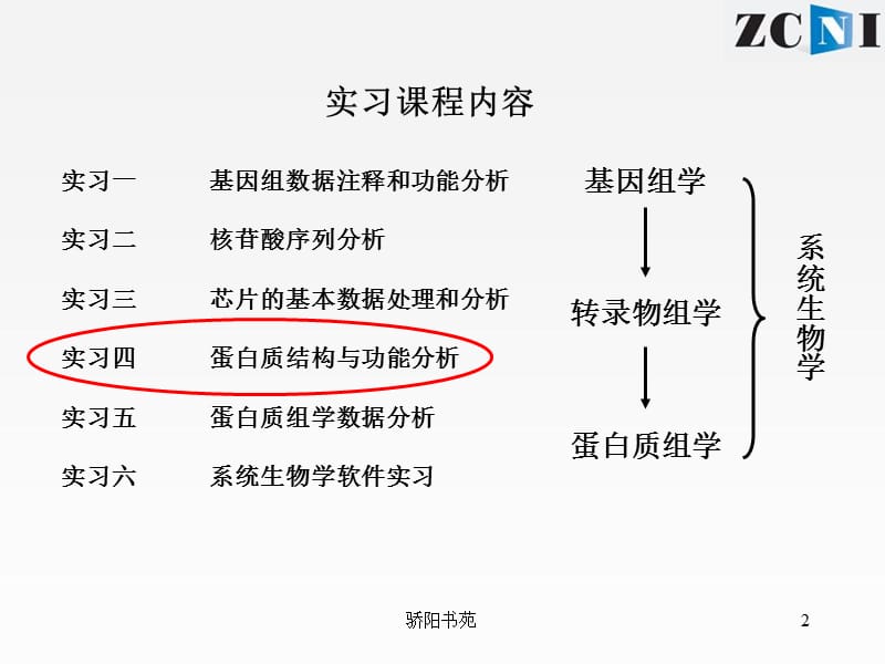 蛋白质结构与功能预测【骄阳书苑】.ppt_第2页