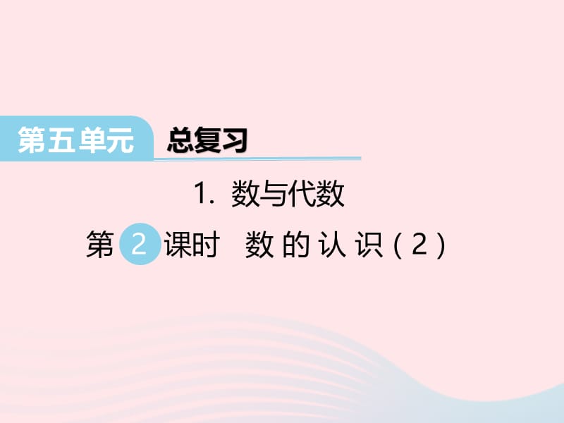 2020春六年级数学下册 第五单元 总复习 数与代数 第2课时 数的认识课件 西师大版.ppt_第1页