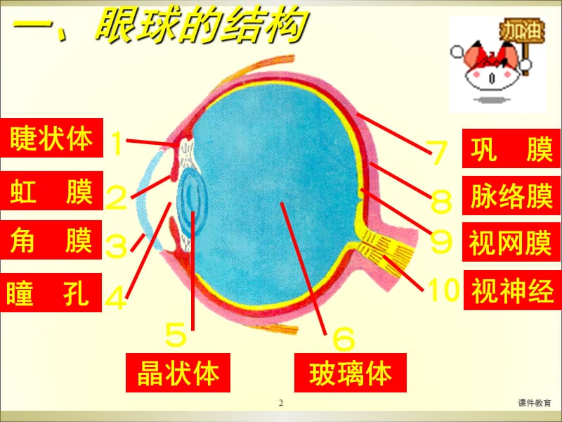 人体对外界环境的感知课件【稻香书屋】.ppt_第2页