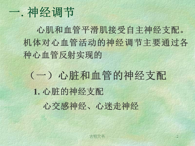 心血管活动的调节【高级教育】.ppt_第2页