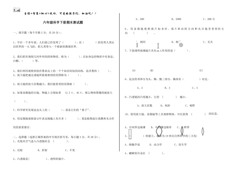 大象版六年级科学下册测试题.docx_第1页