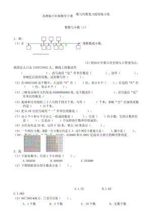 苏教版六年级数学下册数与代数 复习提优练习卷.docx