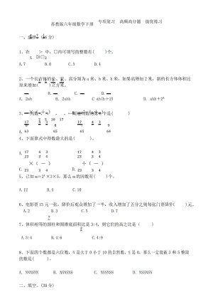 苏教版六年级数学下册 专项复习高频高分题提优练习 .docx