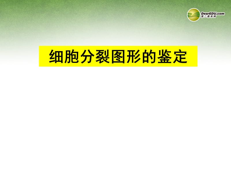 甘肃省永昌县第一中学高三生物 有丝分裂与减数分裂对比复习课件.ppt_第3页