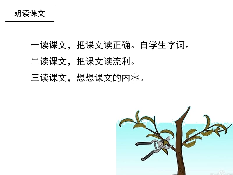 苏教版三下26《剪枝的学问》.ppt_第2页