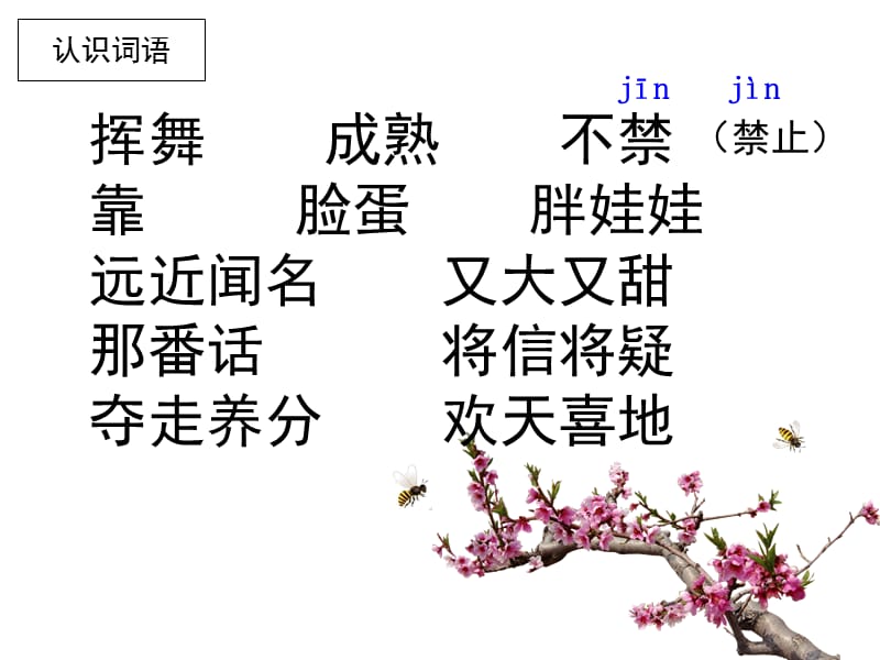 苏教版三下26《剪枝的学问》.ppt_第3页