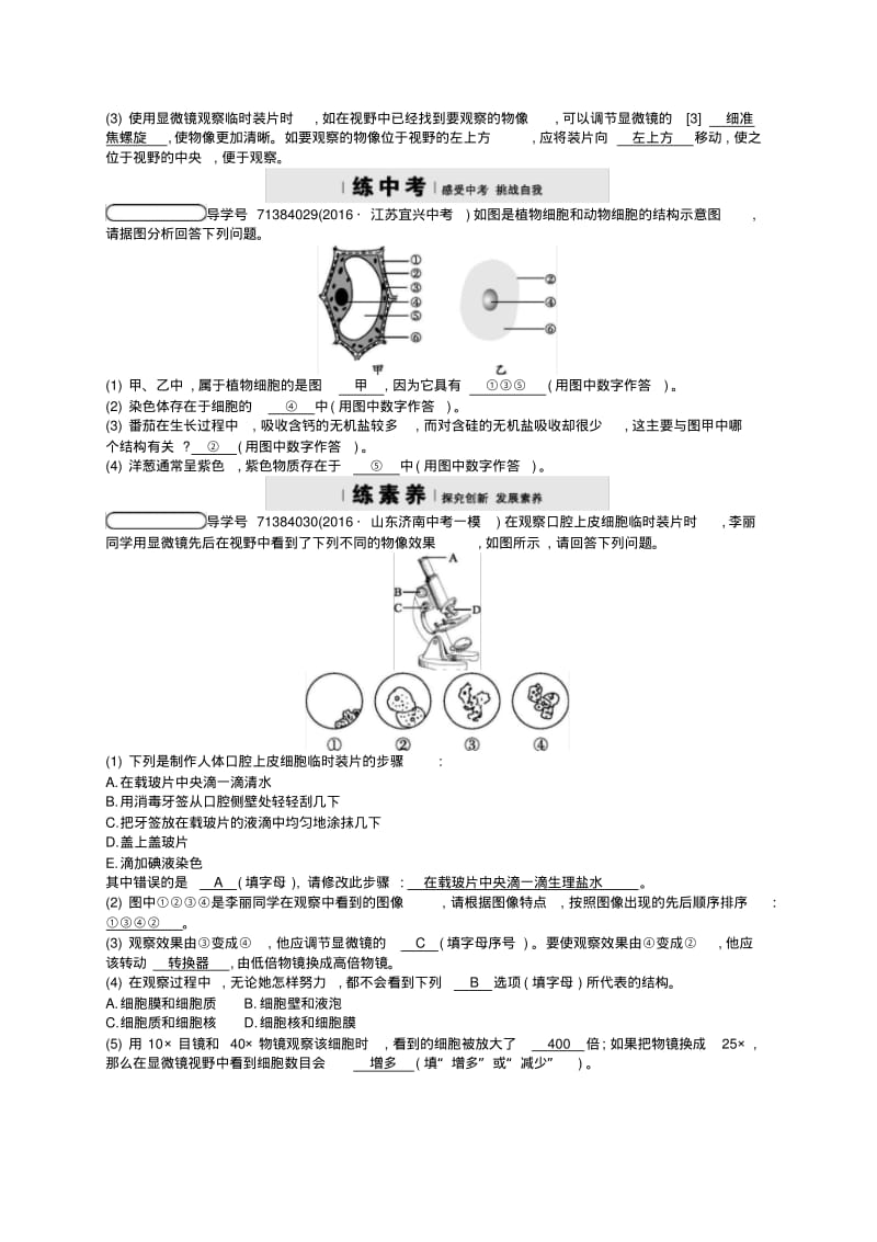 七年级生物上册3.1细胞的基本结构和功能第2课时练习新版北师大版63.pdf_第3页