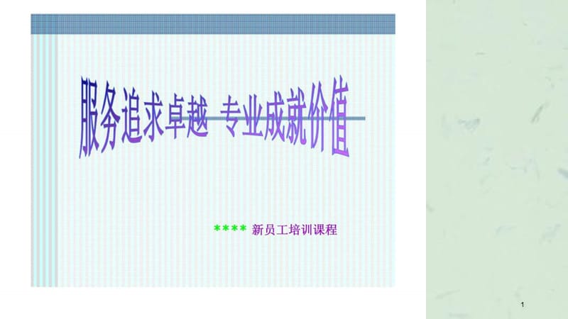 服务追求卓越专业成就价值XXXX新员工培训课程.ppt_第1页