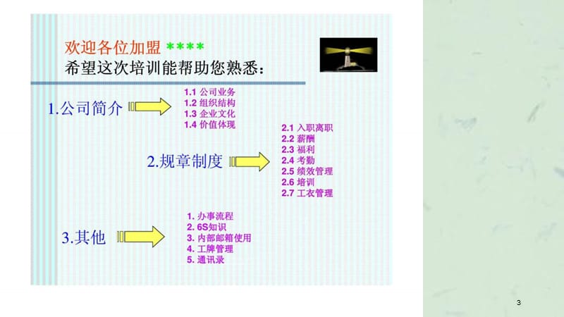 服务追求卓越专业成就价值XXXX新员工培训课程.ppt_第3页