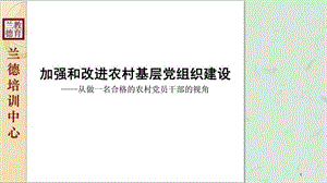 干部培训如何做一名合格地农村党员干部.ppt