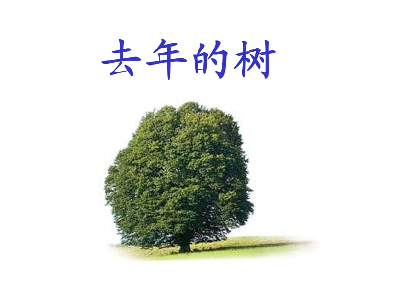 《去年的树》课件(3).ppt_第1页