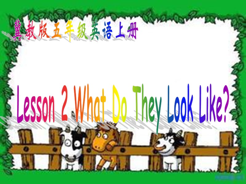 lesson-2-What-do-they-look-like-(冀教版五年级上)课件.ppt_第1页