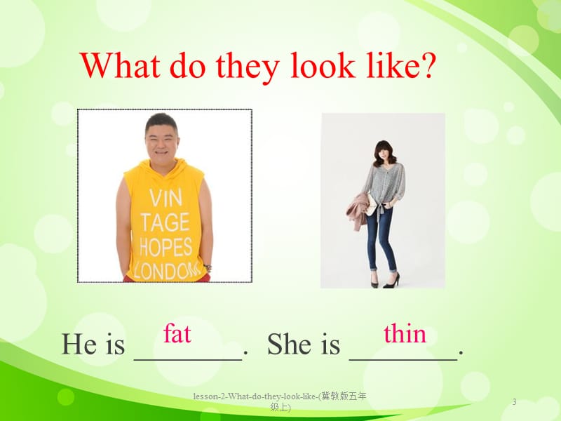 lesson-2-What-do-they-look-like-(冀教版五年级上)课件.ppt_第3页