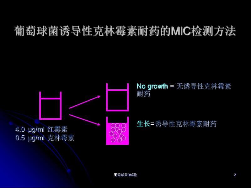 葡萄球菌D试验课件.ppt_第2页